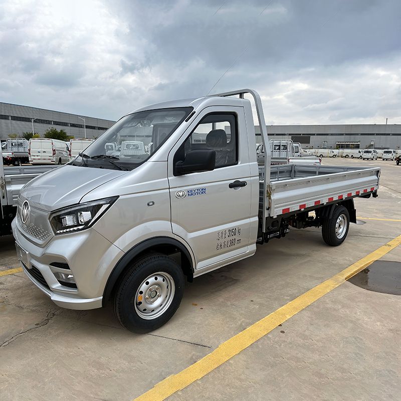 I-N30 Electric Light Truck